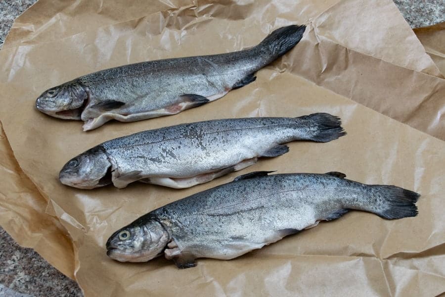 Rainbow trout on butcher paper