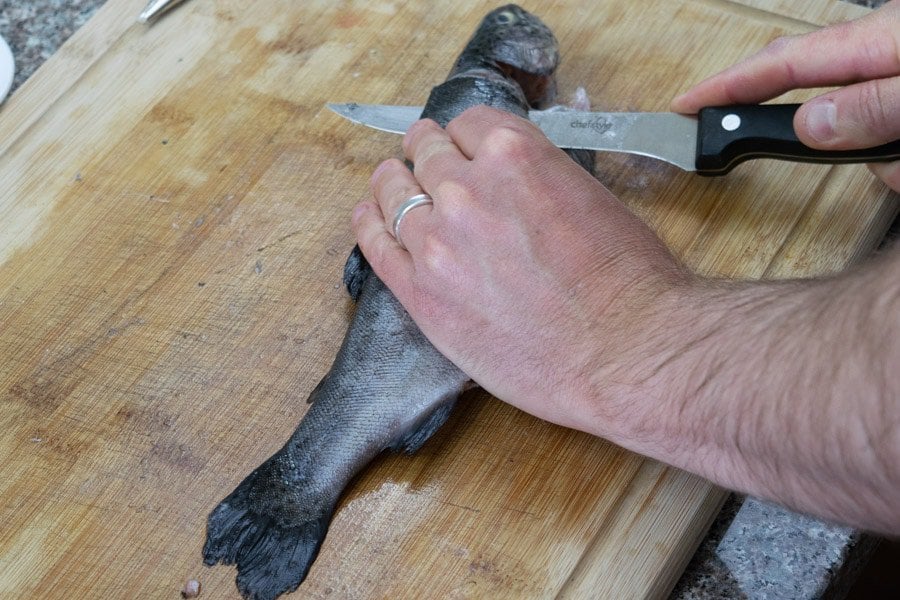 Filleting trout on cutting board