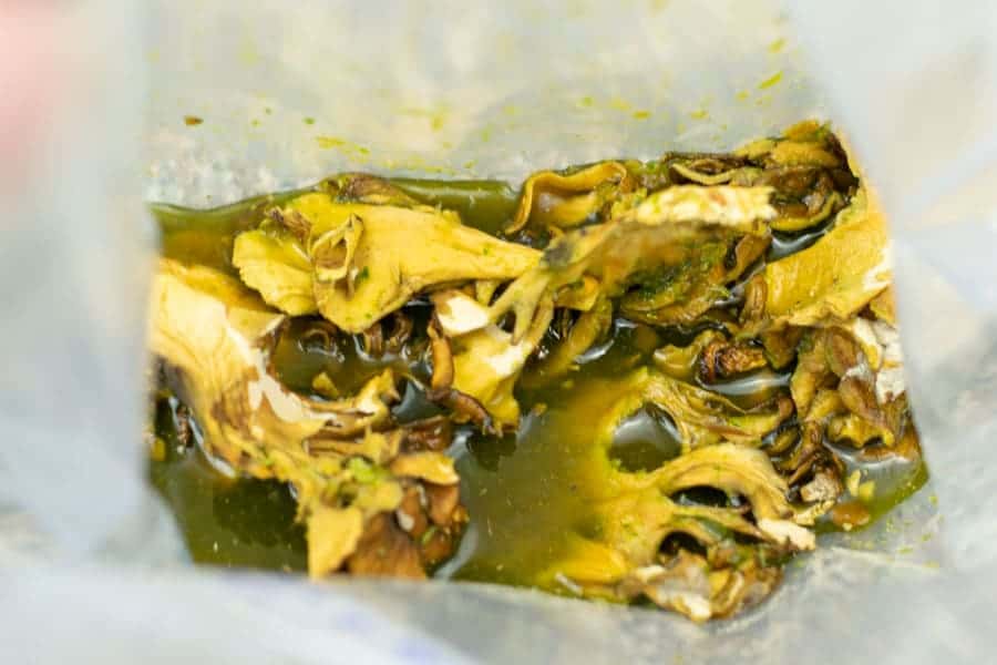Blended marinade with mushrooms in bag