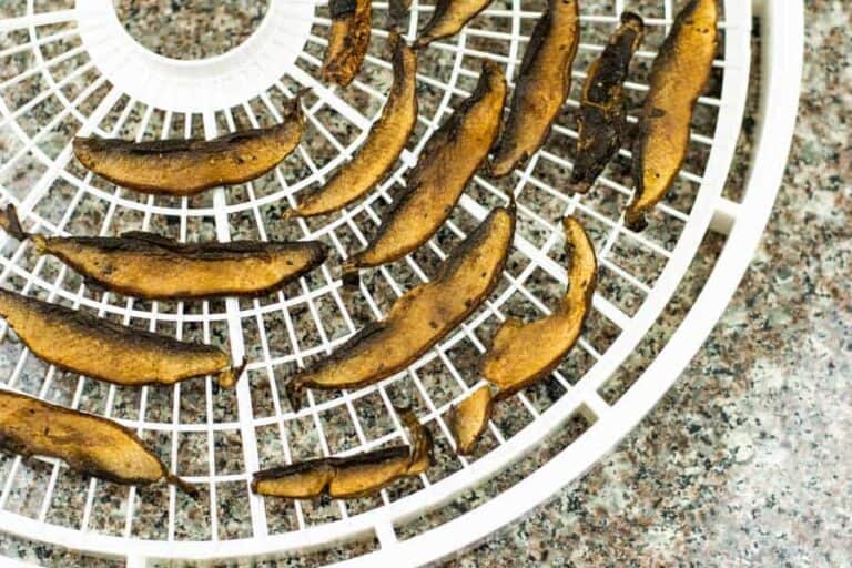 Steakish Portobello Jerky Jerkyholic