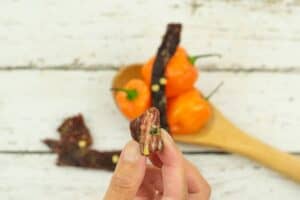 Testing jerky by bending with wood spoon holding habaneros