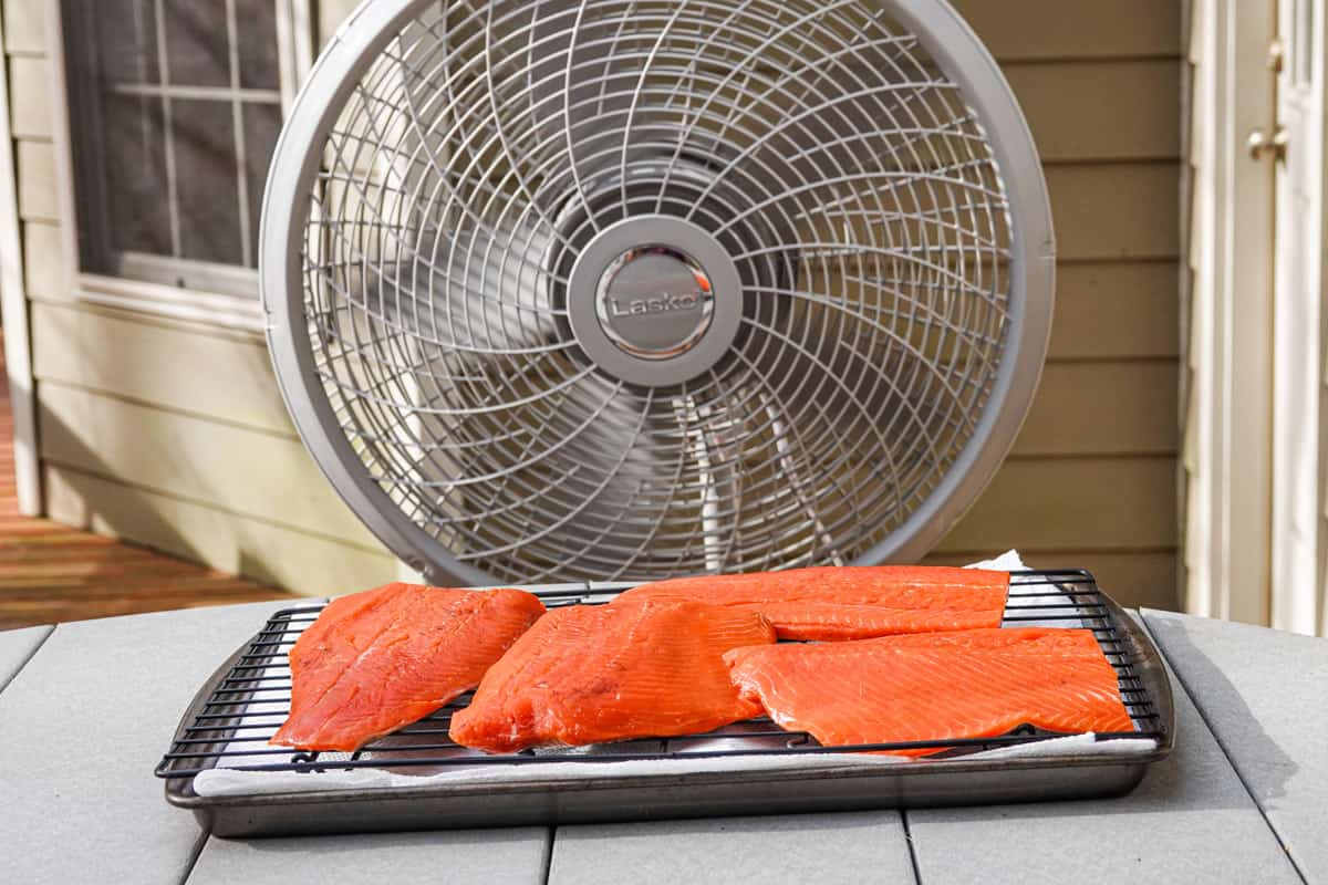 Salmon fillets in front of fan creating a pellicle on meat