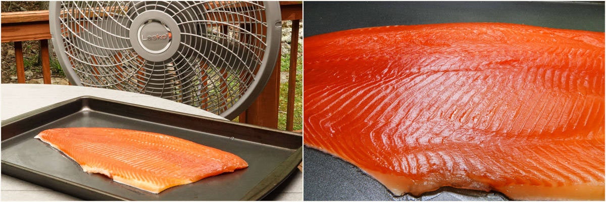 Trout in front of fan and close up picture of pellicle on trout