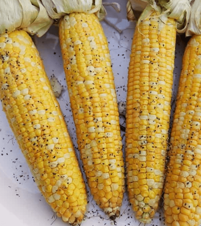 Buttery Smoked Corn on the Cob Cover Image