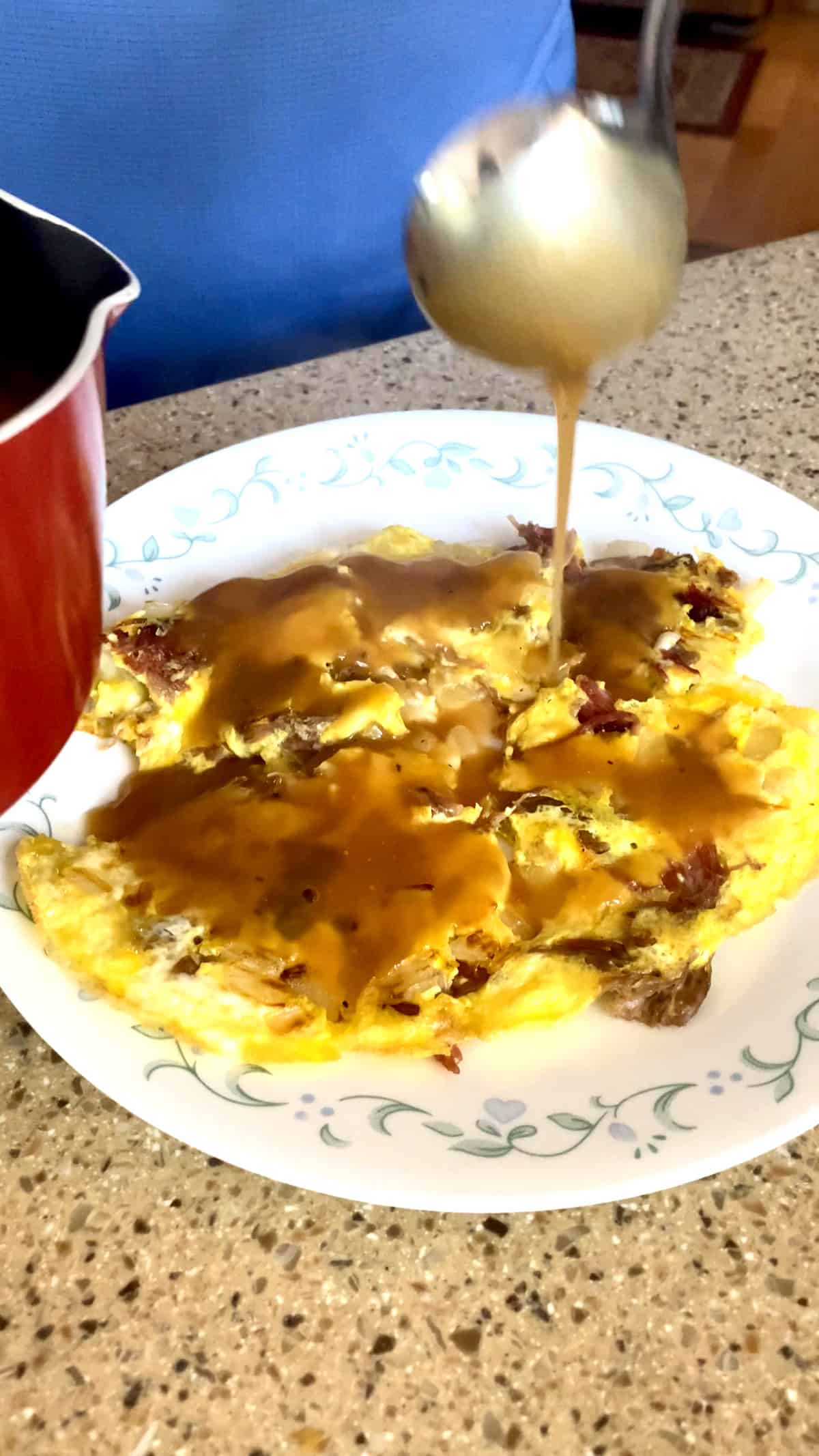 Egg omelette with pulled pork, topped with gravy