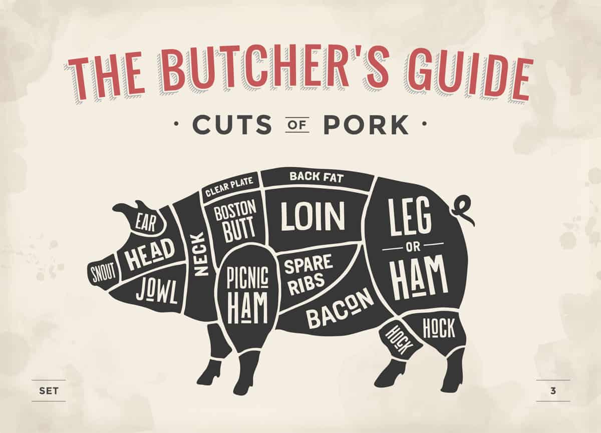 Diagram of pig showing the different cuts of pork that come from the body