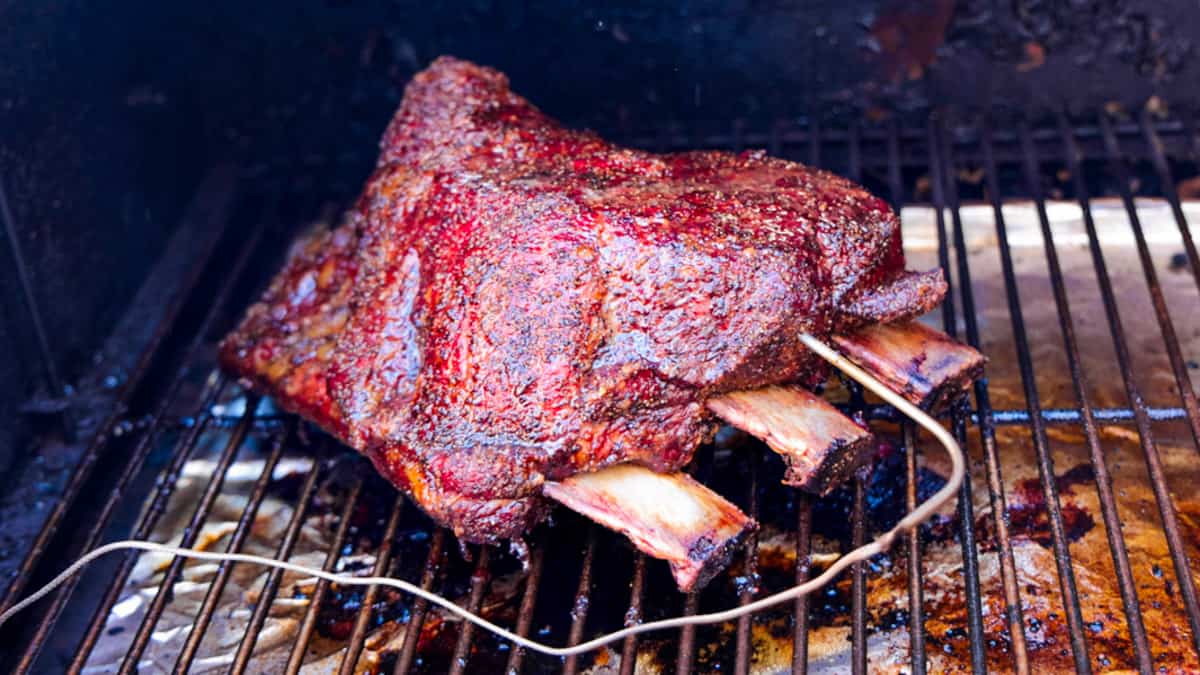 Rack of beef ribs on smoker with probe inserted in meat section.