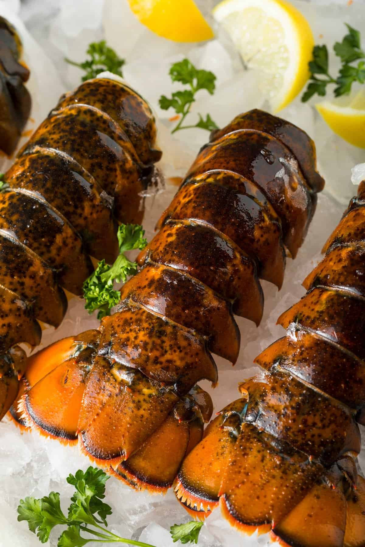 Fresh lobster tails on ice garnished with parsley