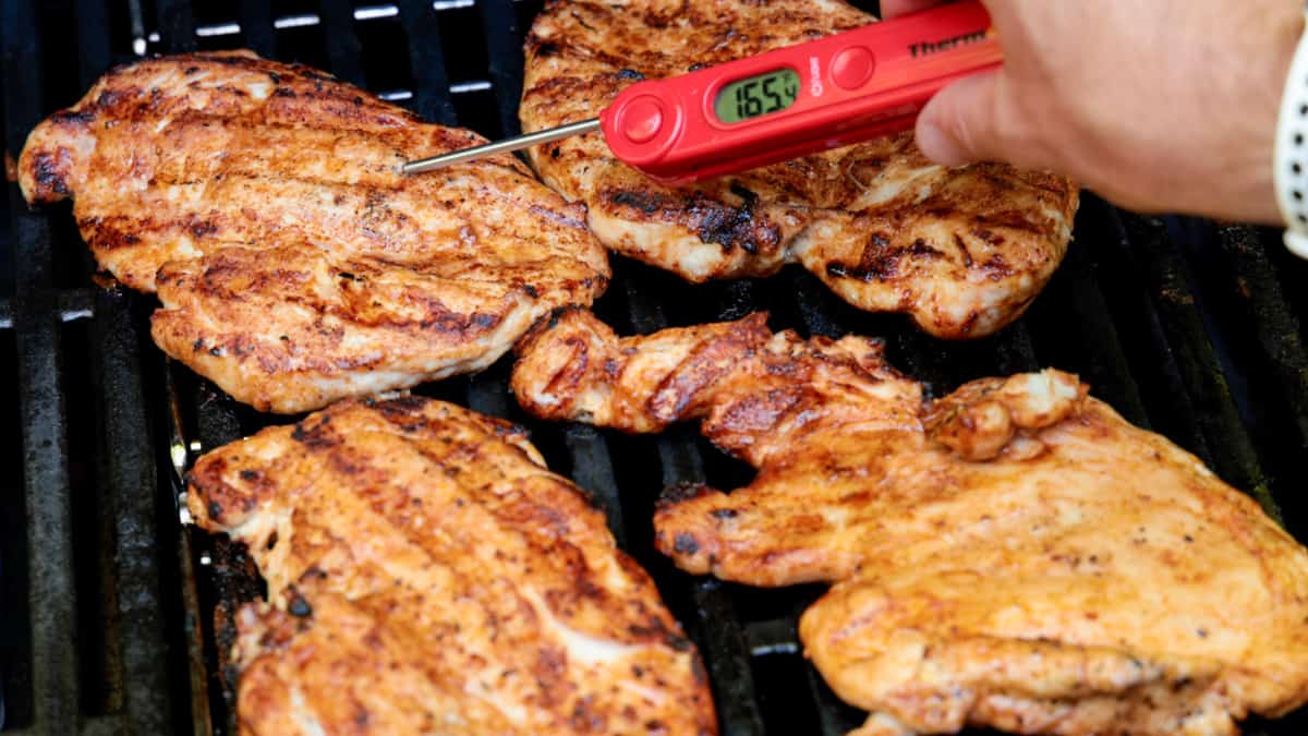 Grilled chicken breasts on grill being tested for 165 degrees internal temperature by meat thermometer.